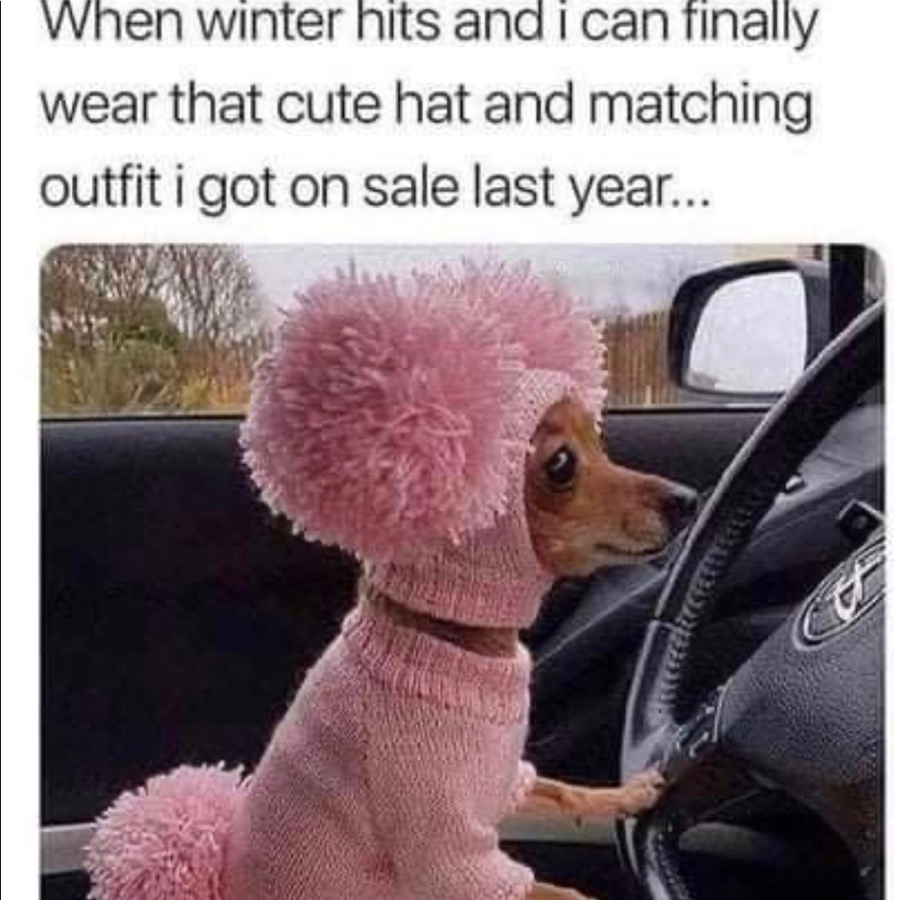 Meet your Posher, Jackie